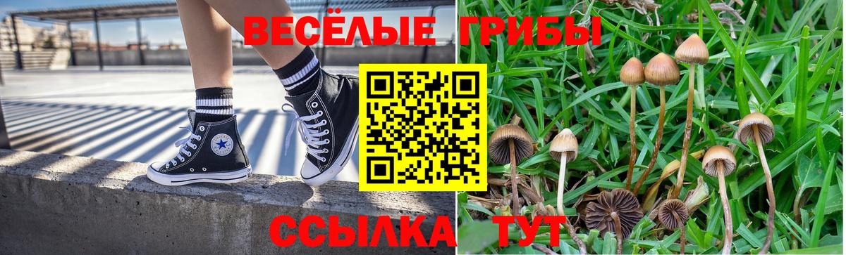 Псилоцибиновые грибы MAGIC MUSHROOMS Можайск