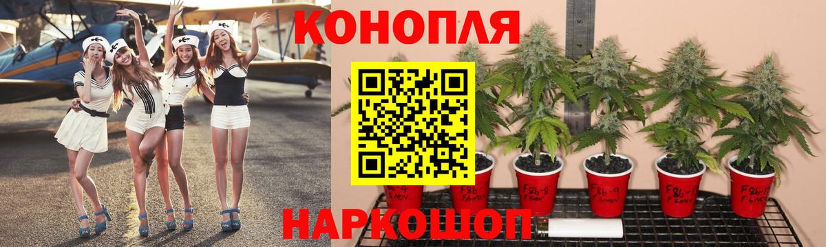 Канабис марихуана Можайск